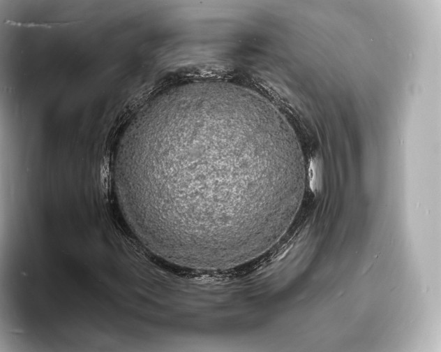 X0000094061395200710261216