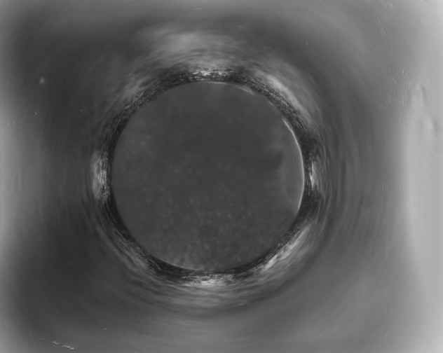 X0000094061396200710261216