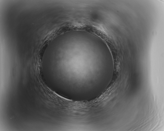 X0000094061397200710261216