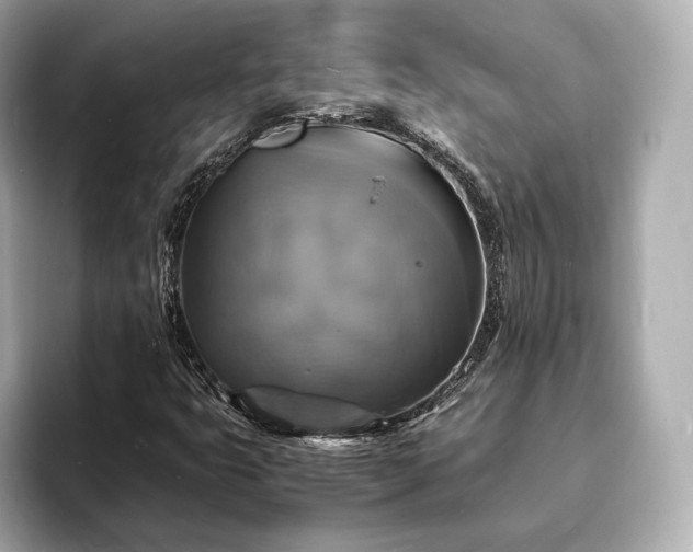 X0000094061399200710261216