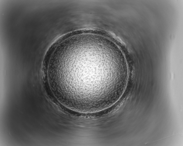 X0000094061400200710261216