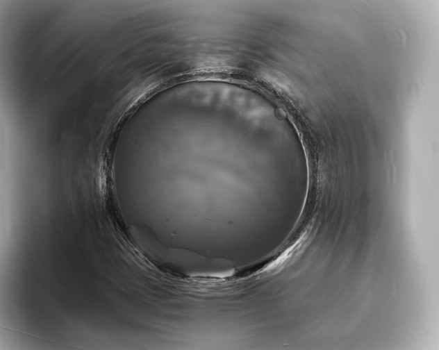 X0000094061401200710261216