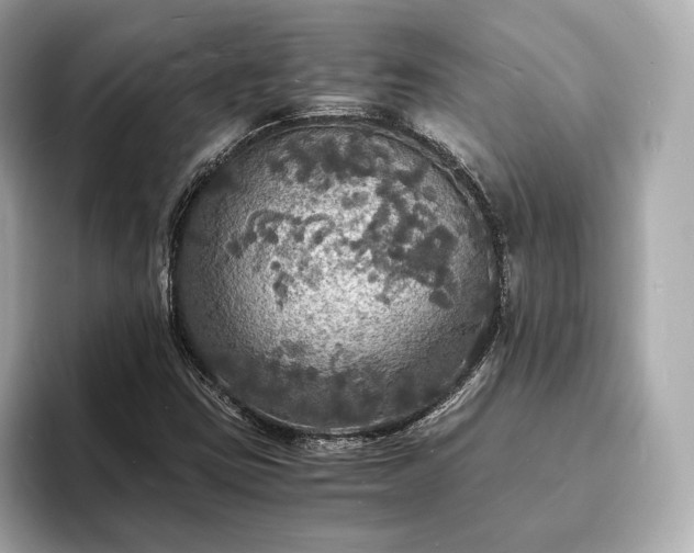 X0000094061403200710261216