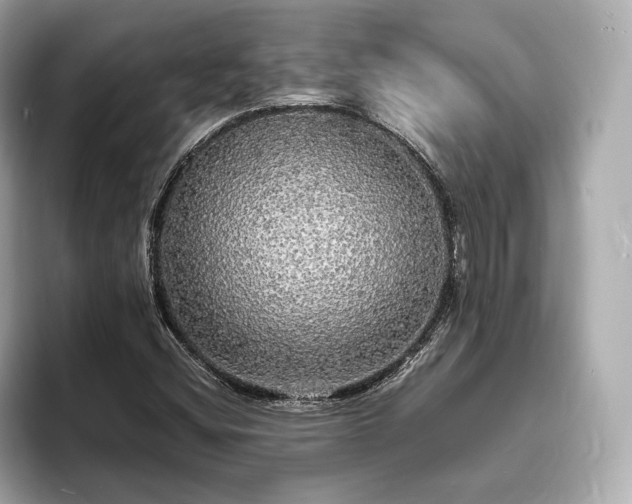 X0000094061404200710261216