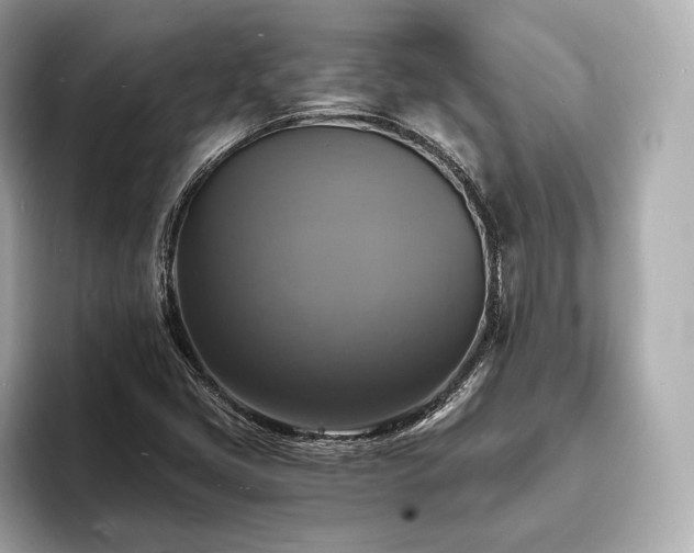 X0000094061405200710261216