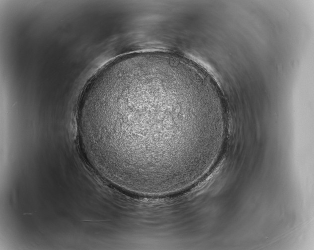 X0000094061407200710261216