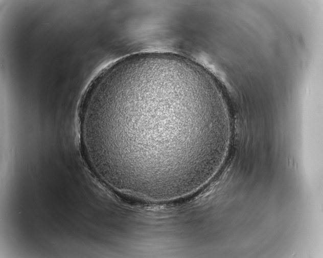 X0000094061408200710261216