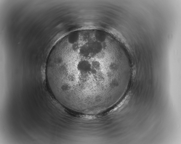 X0000094061409200710261216