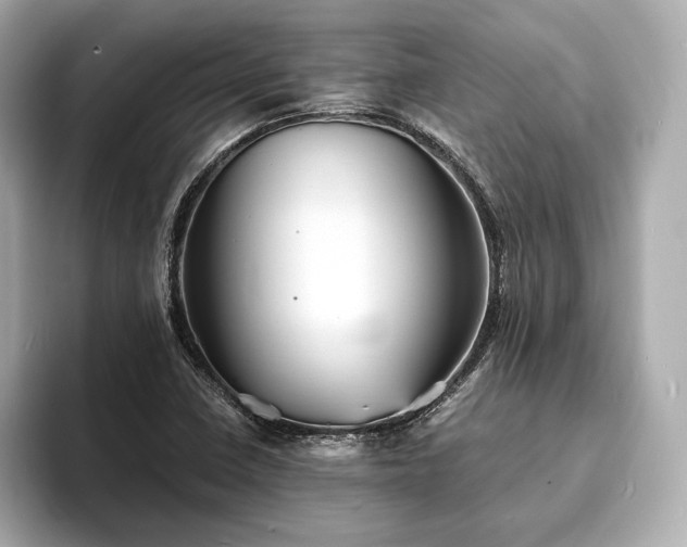X0000094061410200710261216
