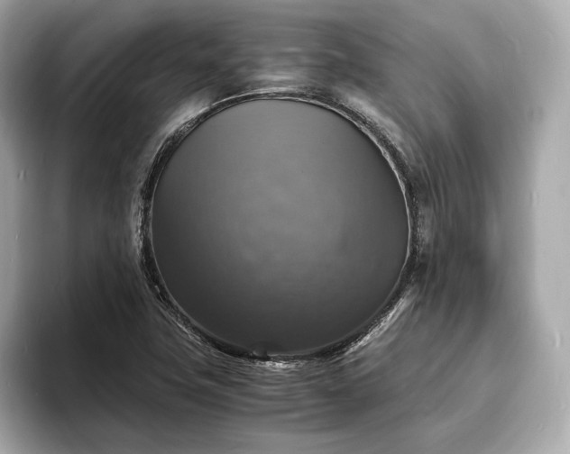 X0000094061411200710261216