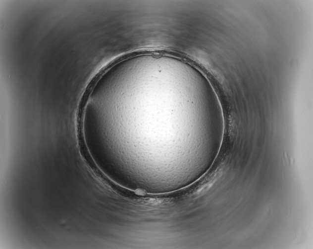 X0000094061412200710261216