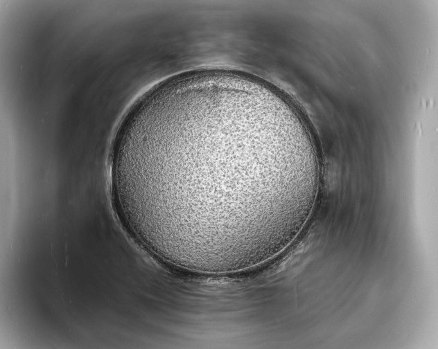 X0000094061416200710261216
