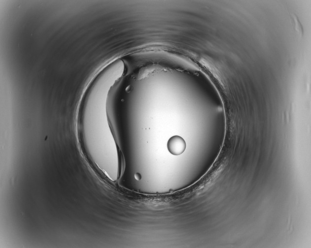 X0000094061418200710261216