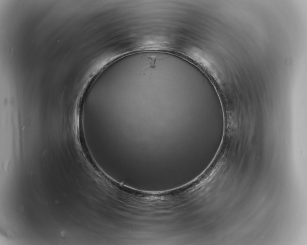 X0000094061419200710261216