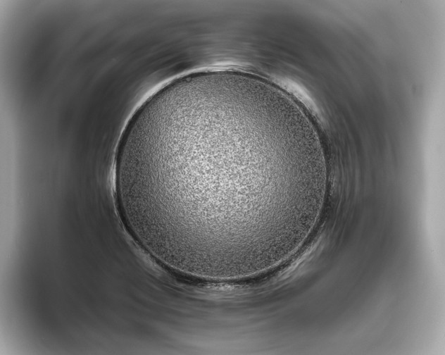 X0000094061420200710261216