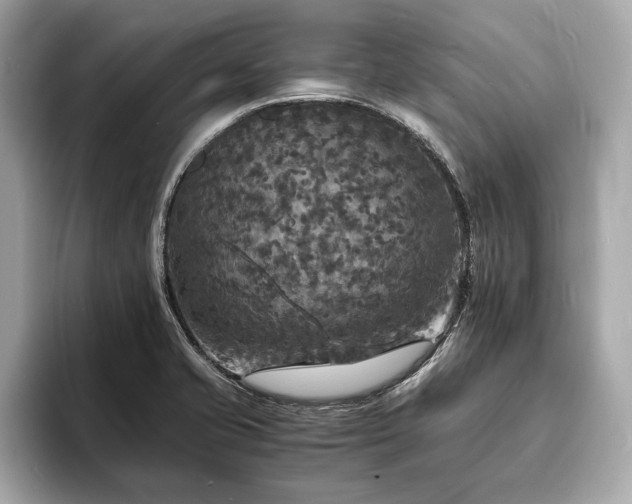 X0000094061421200710261216