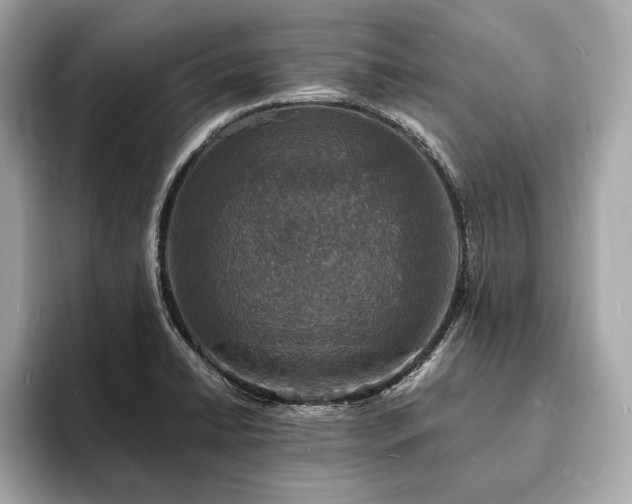 X0000094061422200710261216