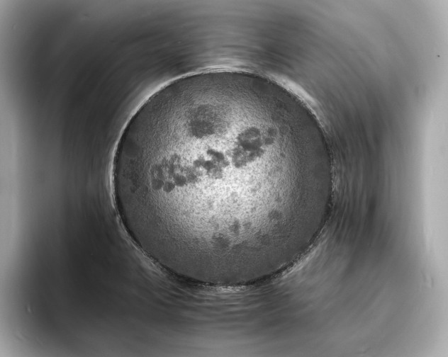 X0000094061423200710261216