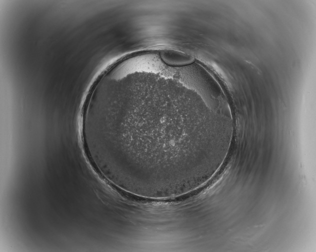 X0000094061424200710261216