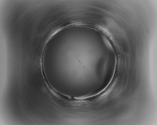 X0000094061425200710261216