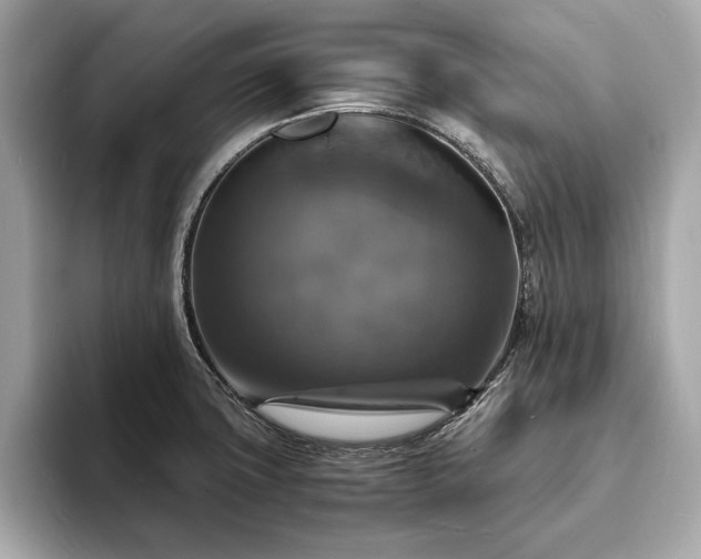 X0000094061427200710261216