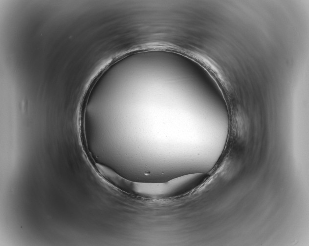 X0000094061430200710261216