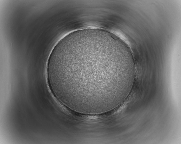 X0000094061431200710261216