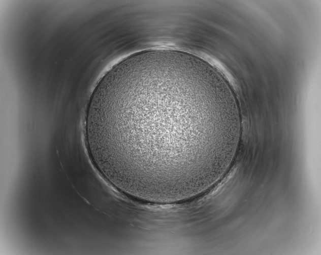 X0000094061432200710261216