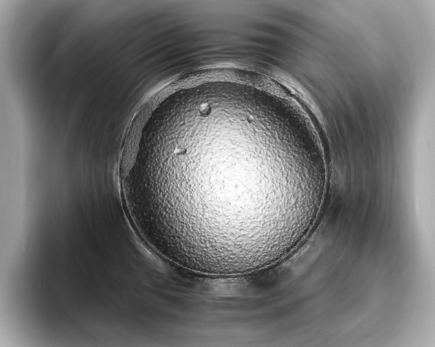 X0000094061433200710261216