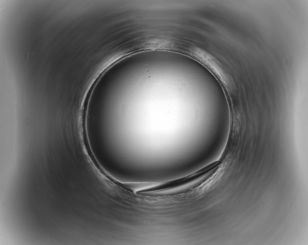 X0000094061434200710261216