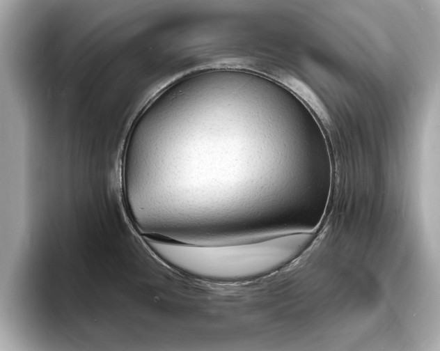 X0000094061436200710261216