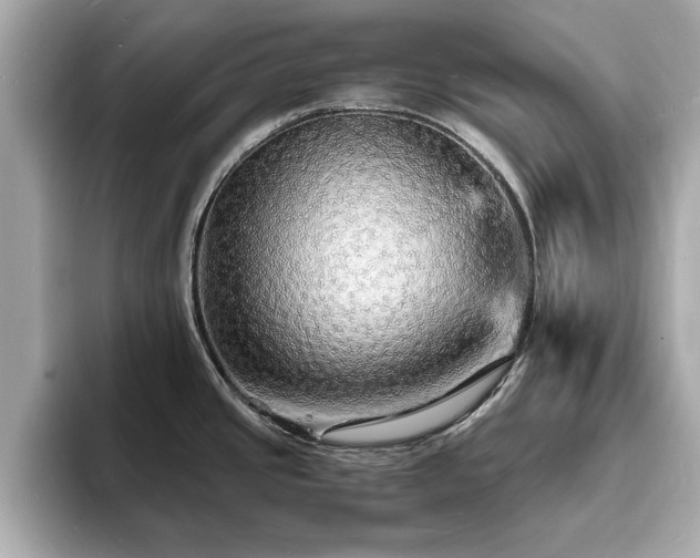X0000094061437200710261216