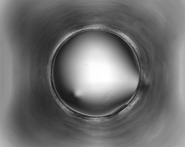 X0000094061438200710261216
