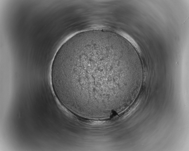 X0000094061439200710261216