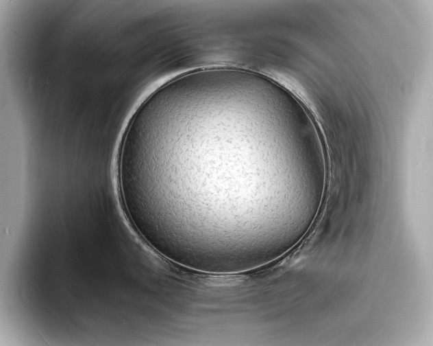 X0000094061440200710261216