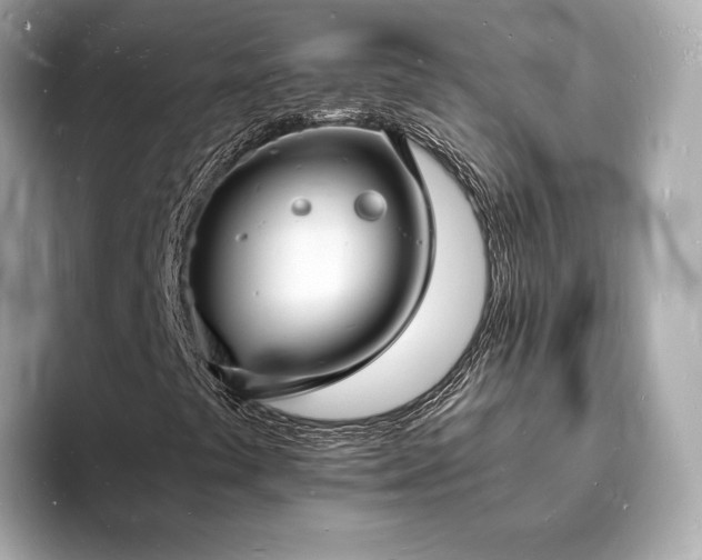 X0000094061441200710261216