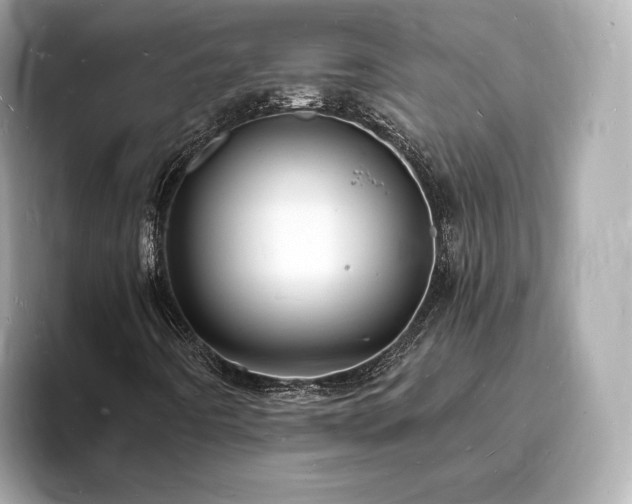 X0000094061442200710261216