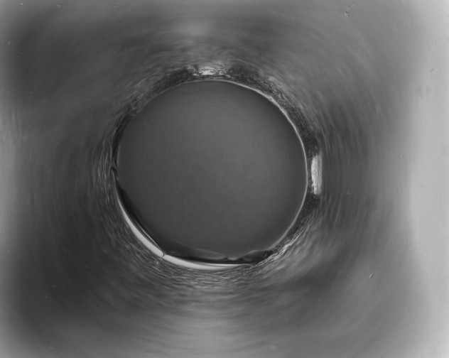 X0000094061443200710261216