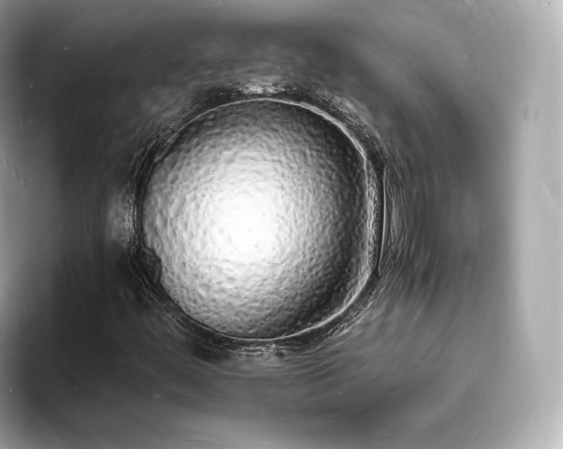 X0000094061444200710261216