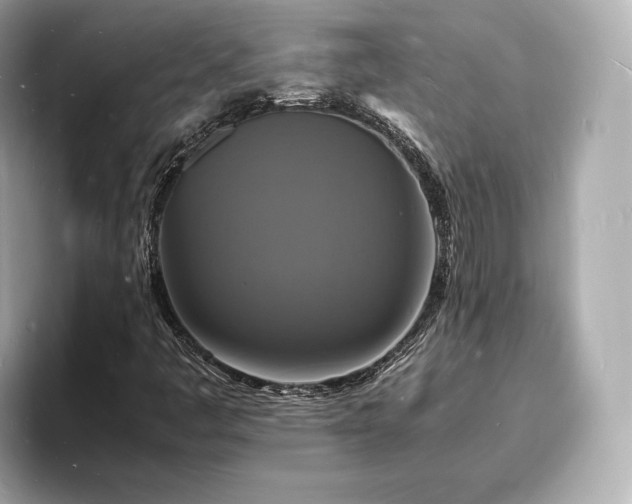 X0000094061445200710261216