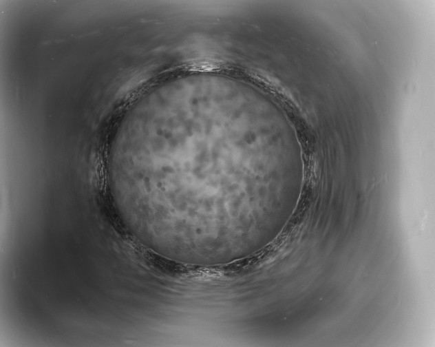 X0000094061446200710261216