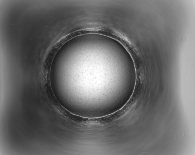 X0000094061448200710261216