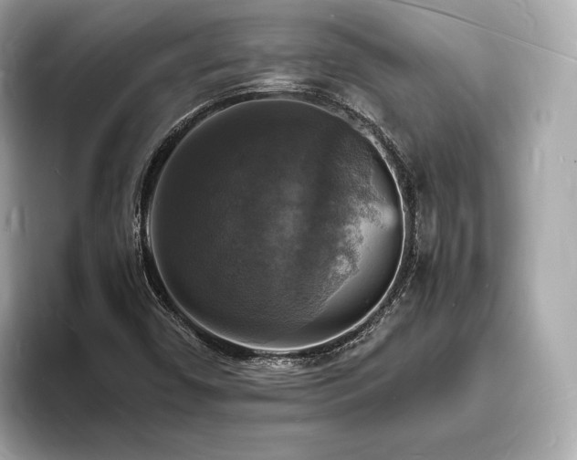 X0000094061450200710261215