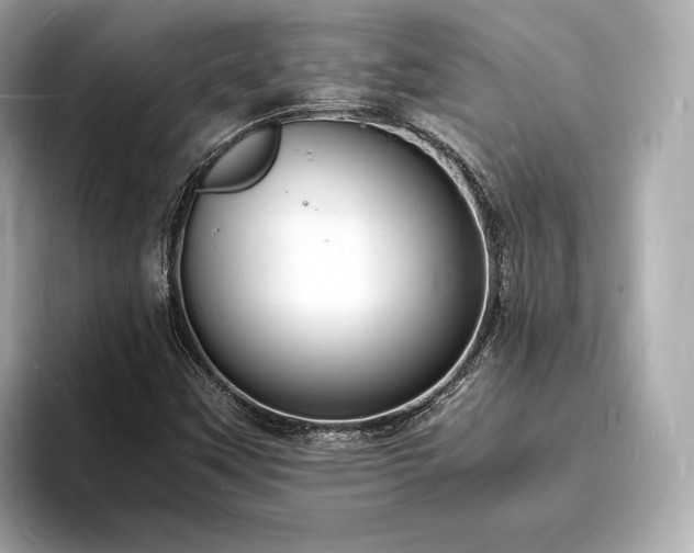 X0000094061451200710261215