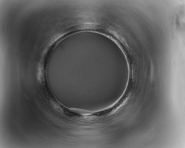X0000094061453200710261215