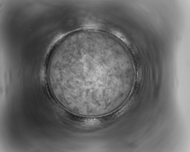 X0000094061454200710261215