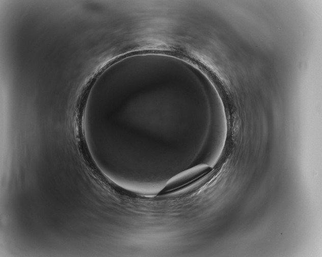 X0000094061455200710261215