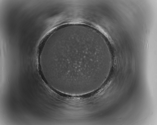 X0000094061456200710261215