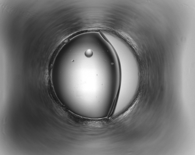 X0000094061457200710261215