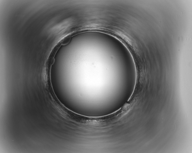 X0000094061458200710261215